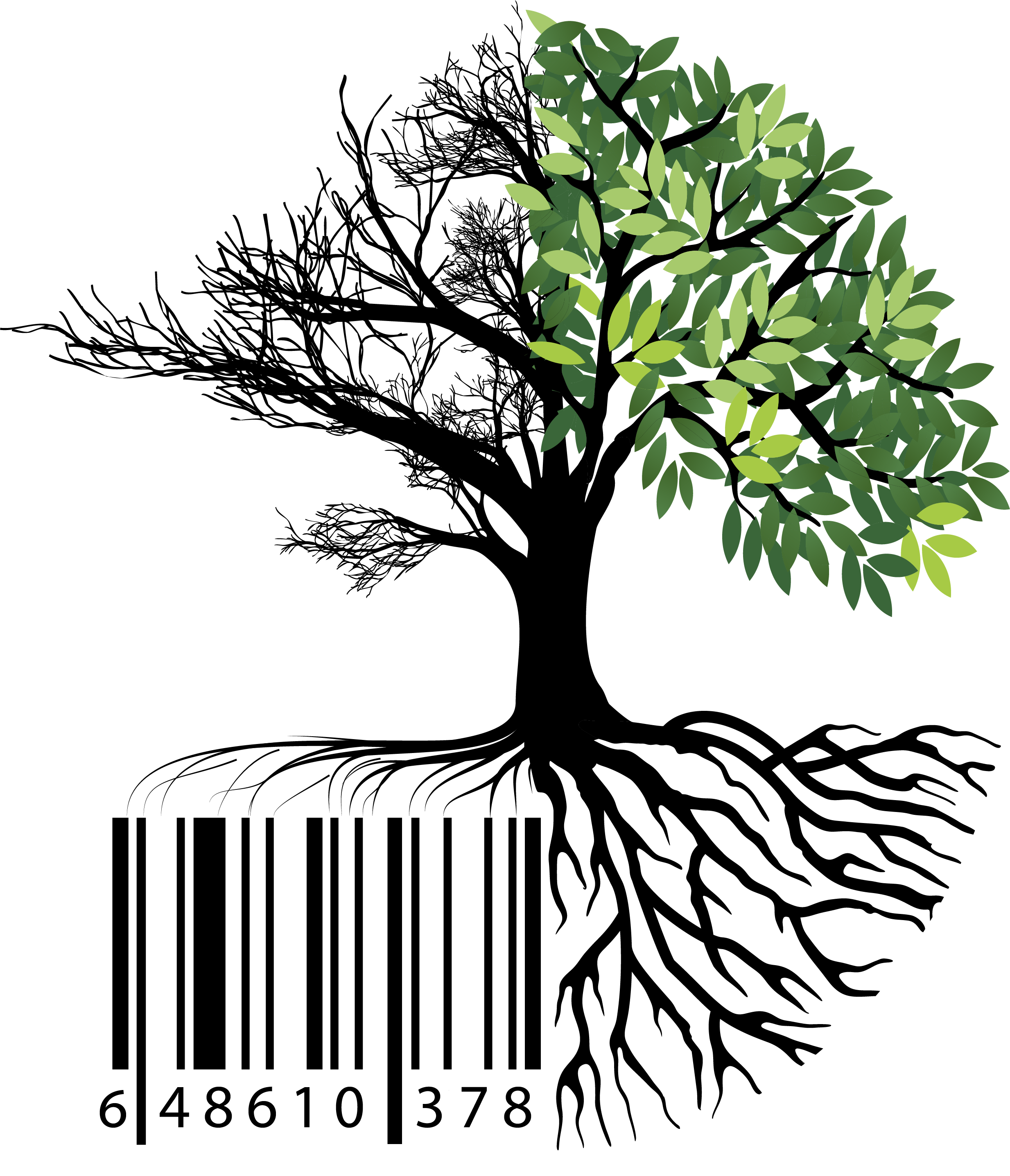 Eco Summer Camp - Lassalle Institut